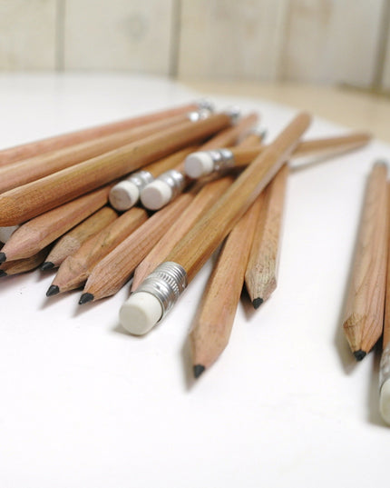 Ecobos tube with 72 hexagonal pencils with eraser - FSC 100%