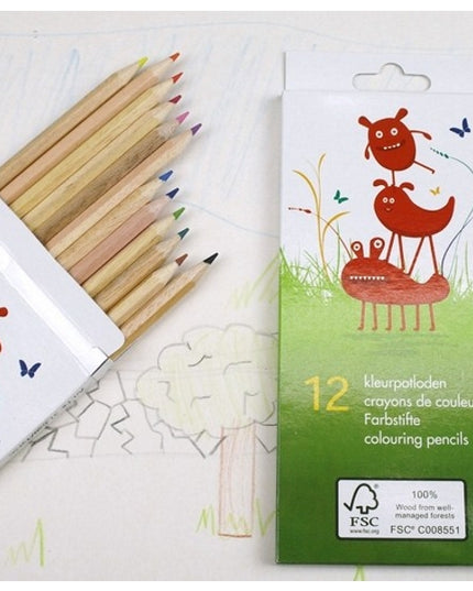 Ecobos doosje met 12 kleurpotloden - FSC 100%