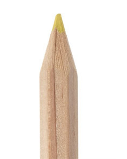 Kleurpotlood 18 cm - in verschillende kleuren