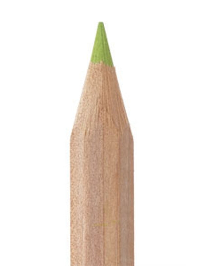 Kleurpotlood 18 cm - in verschillende kleuren