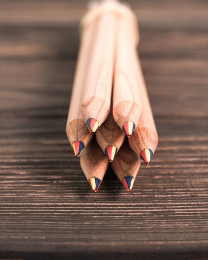 Regenboogpotlood met zaden - zonnebloem