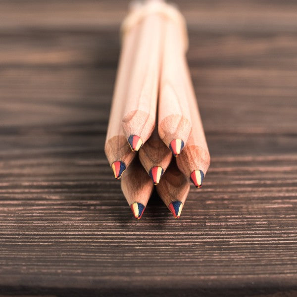 Rainbow pencil with seeds - sunflower