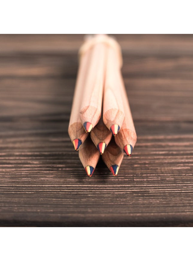 Regenboogpotlood met zaden - zonnebloem