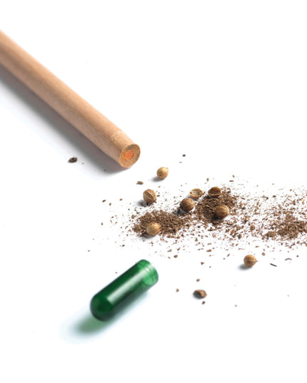 Regenboogpotlood met zaden - zonnebloem