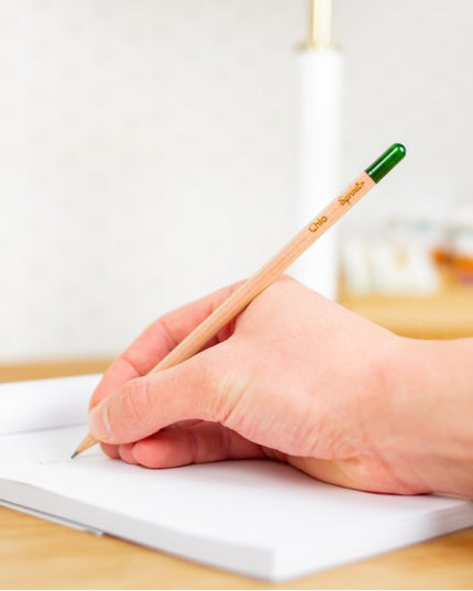 Regenboogpotlood met zaden - zonnebloem