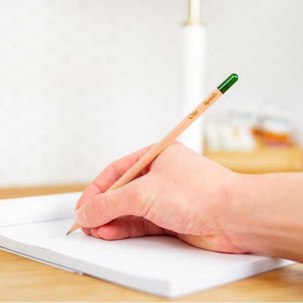 Rainbow pencil with seeds - sunflower