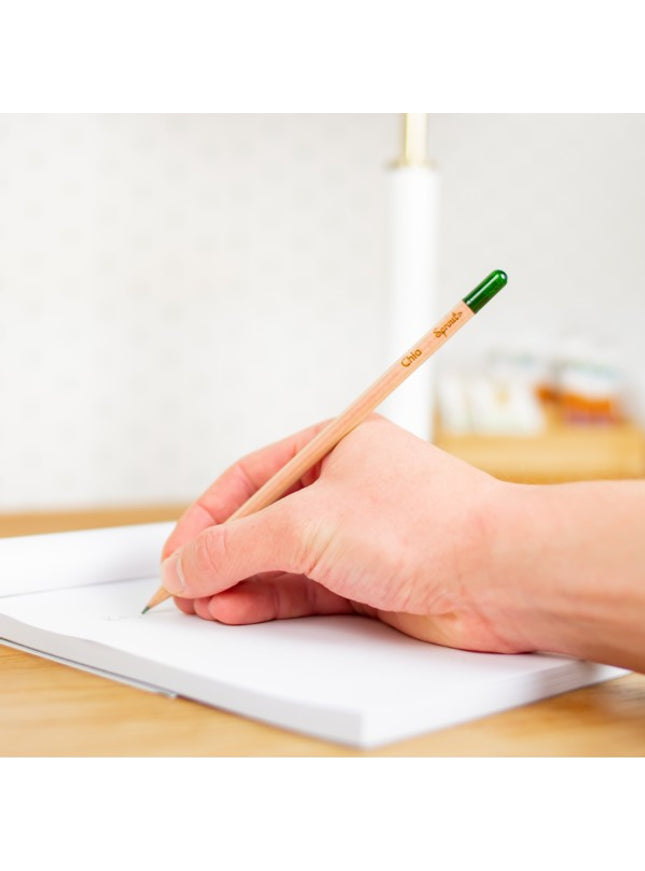 Regenboogpotlood met zaden - zonnebloem