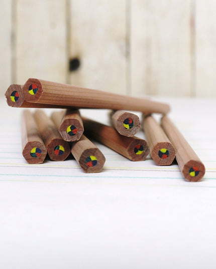 Ecobos tube with 36 maxi rainbow pencils - FSC 100%
