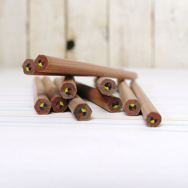 Ecobos tube with 36 maxi rainbow pencils - FSC 100%