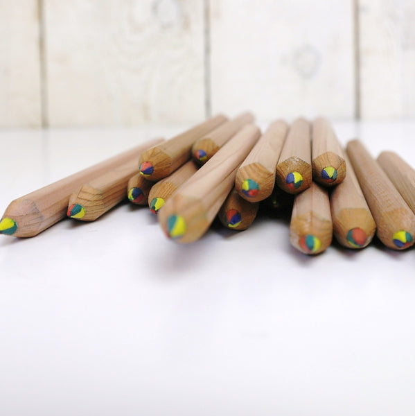 Ecobos tube with 36 maxi rainbow pencils - FSC 100%