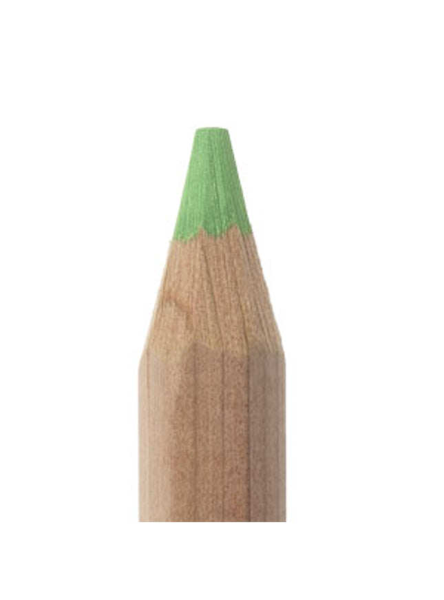 Fluo-kleurdikkerd 18 cm - GROEN