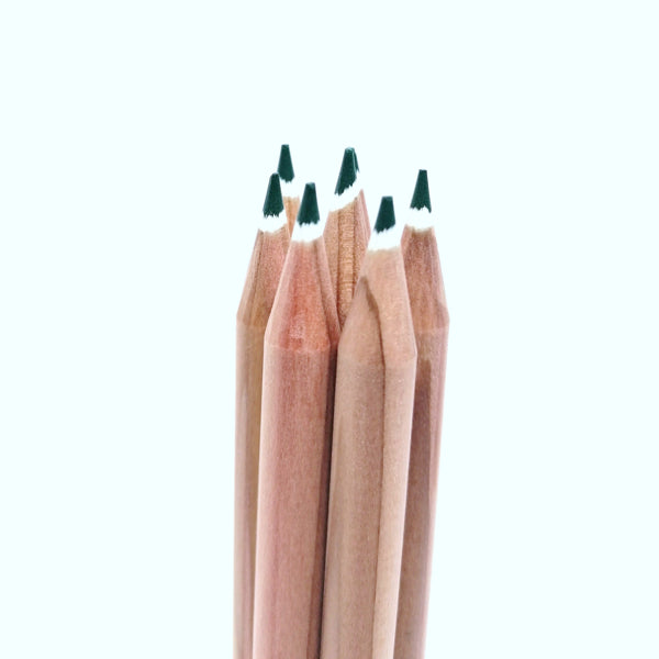 Round colored pencil with seeds - green: basil