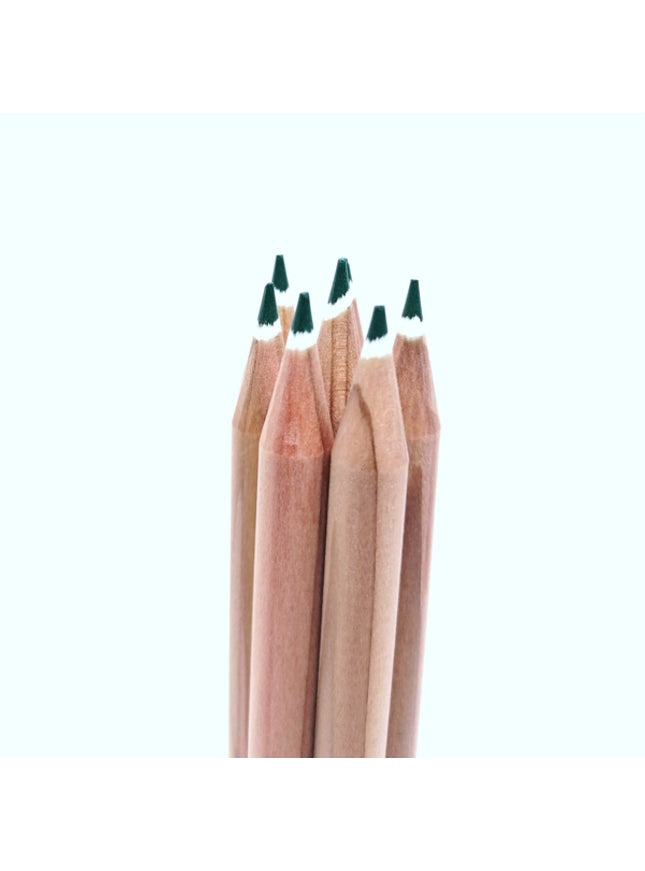 Rond kleurpotlood met zaden - groen : basilicum