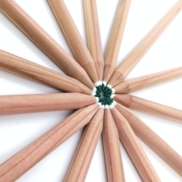 Round colored pencil with seeds - green: basil