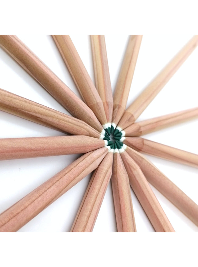 Rond kleurpotlood met zaden - groen : basilicum