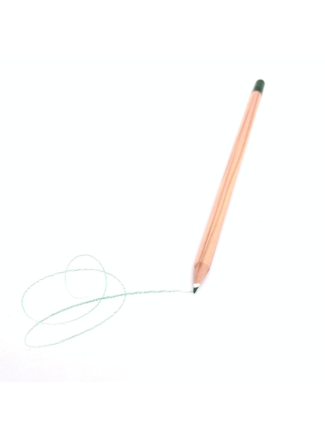 Rond kleurpotlood met zaden - groen : basilicum