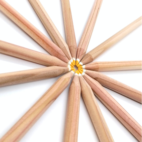 Round colored pencil with seeds - yellow: daisy