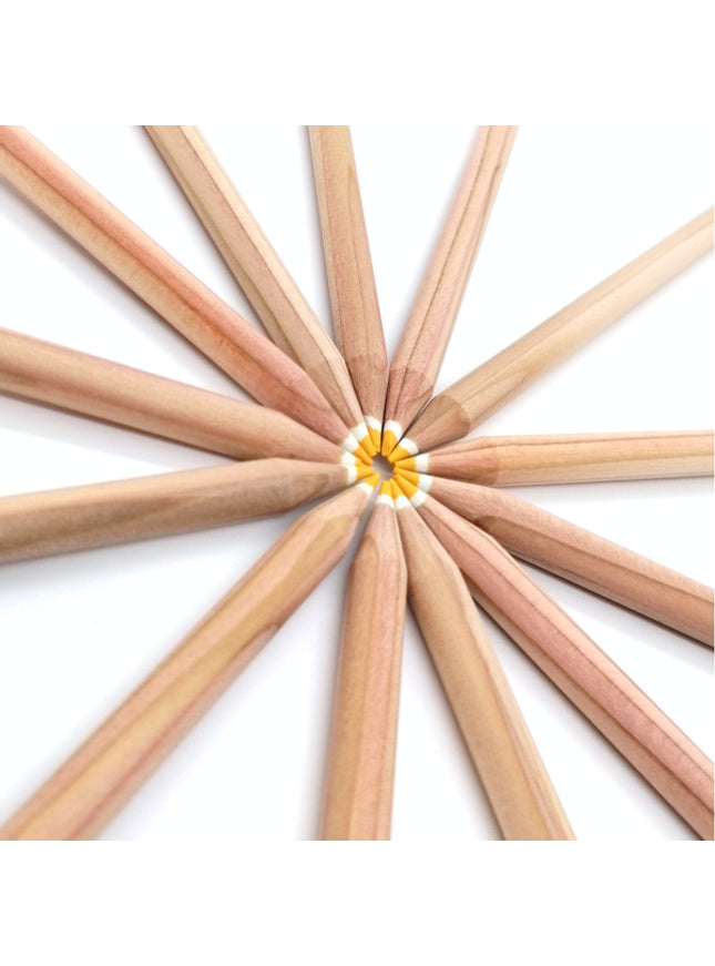 Rond kleurpotlood met zaden - geel : margriet