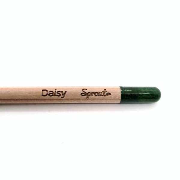 Round colored pencil with seeds - yellow: daisy