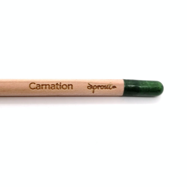 Round colored pencil with seeds - red: carnation