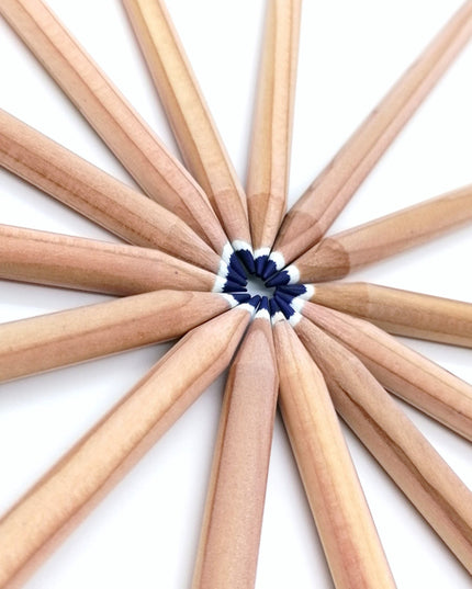 Rond kleurpotlood met zaden - blauw : vergeet-me-niet