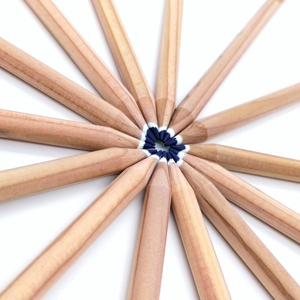 Round colored pencil with seeds - blue: forget-me-not