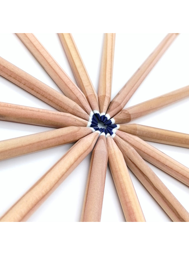 Rond kleurpotlood met zaden - blauw : vergeet-me-niet