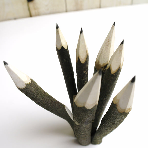 Hazelnut branch pencil approx. 14 cm