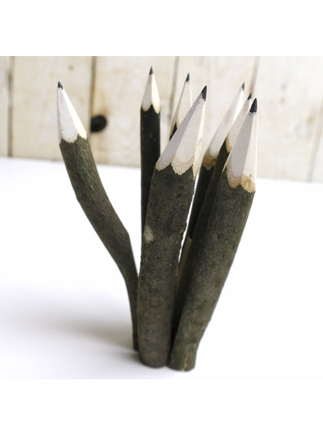 Hazelnoottak-potlood ca. 14 cm