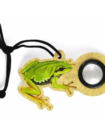 vliegenoog aan touw - kikker