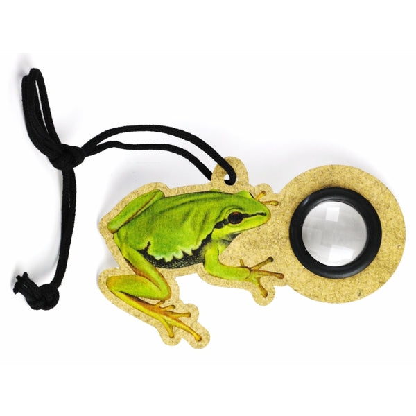 vliegenoog aan touw - kikker