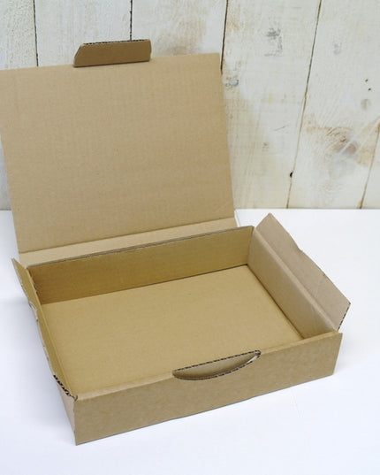 doos microgolfkarton 24x17x5 cm versterkte kanten