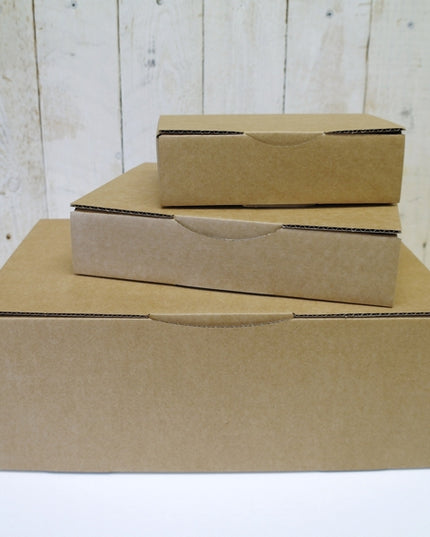 doos microgolfkarton 24x17x5 cm versterkte kanten