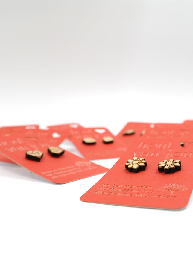 Houten oorbellen - Mix van 12 - Vormen en symbolen