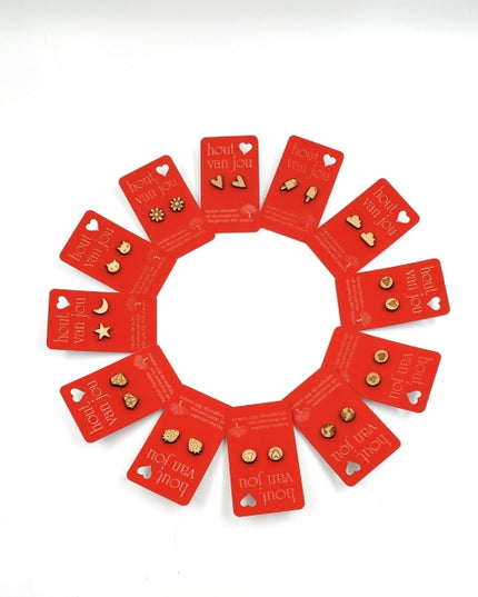 Houten oorbellen - Mix van 12 - Vormen en symbolen