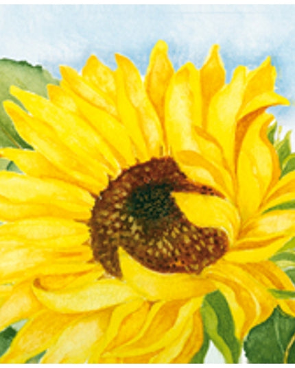 Vierkante wenskaart zonnebloem, Muriël