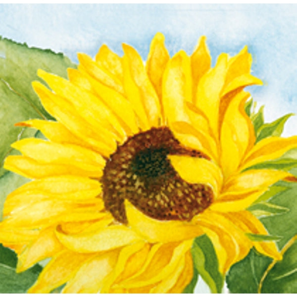 Vierkante wenskaart zonnebloem, Muriël