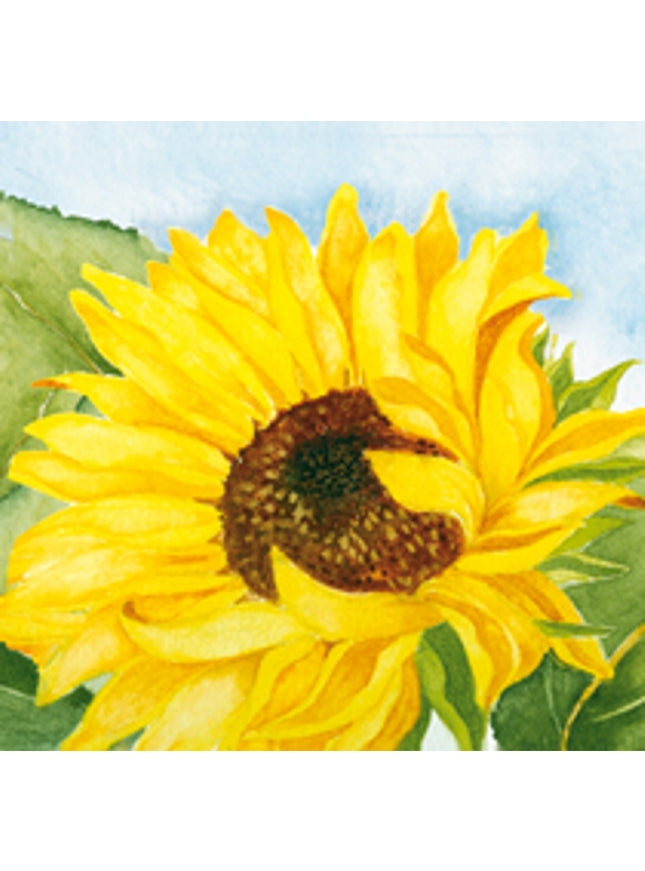 Vierkante wenskaart zonnebloem, Muriël