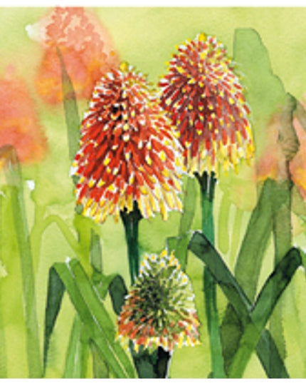 Vierkante wenskaart bloem vuurpijl