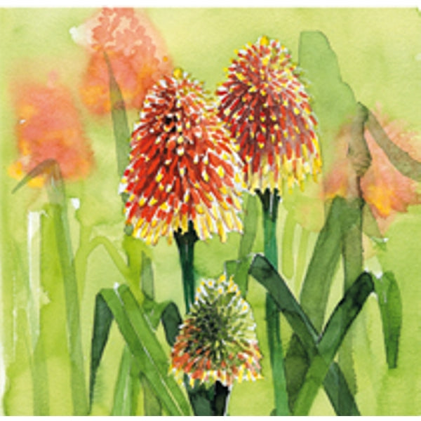 Vierkante wenskaart bloem vuurpijl