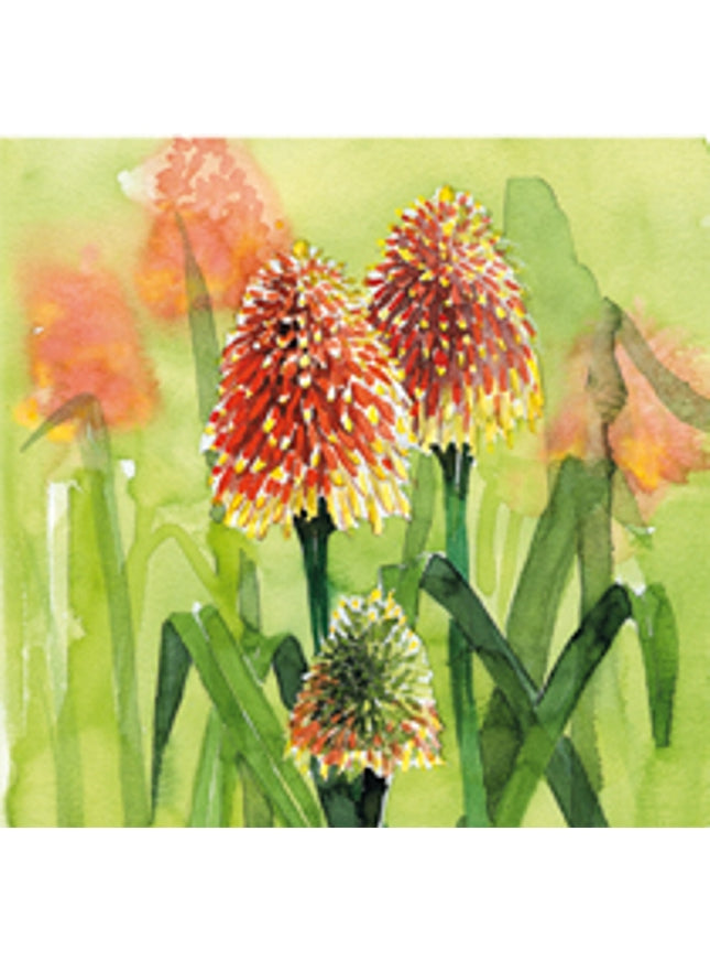 Vierkante wenskaart bloem vuurpijl