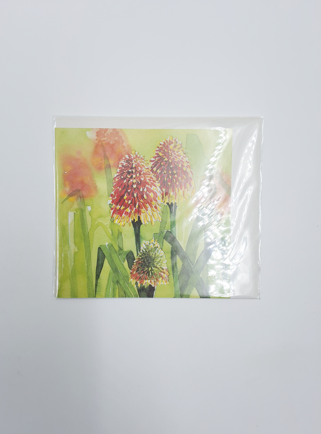 Vierkante wenskaart bloem vuurpijl