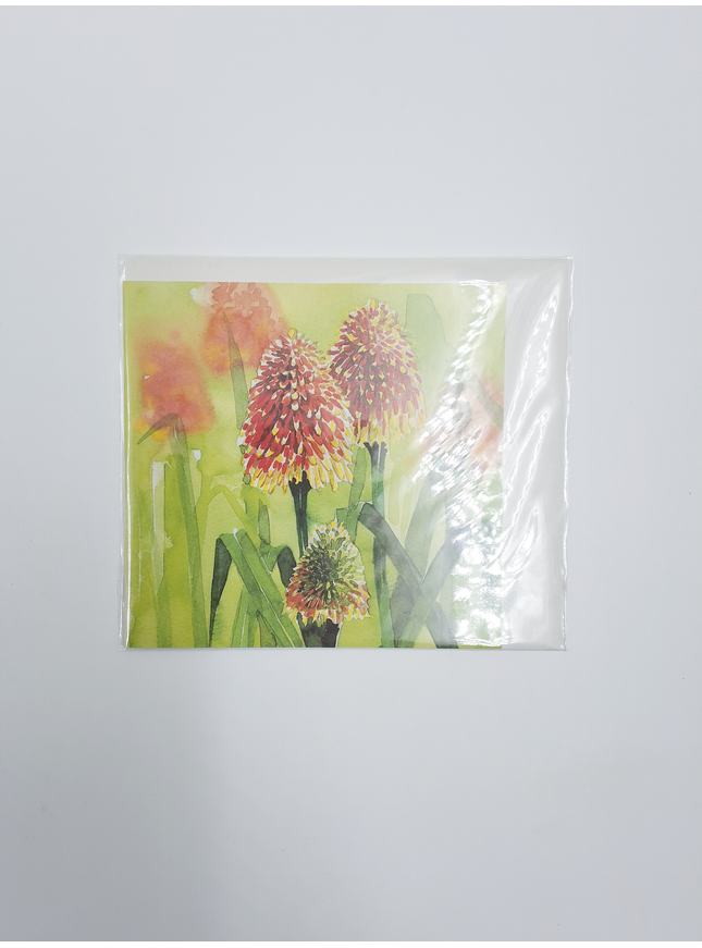 Vierkante wenskaart bloem vuurpijl