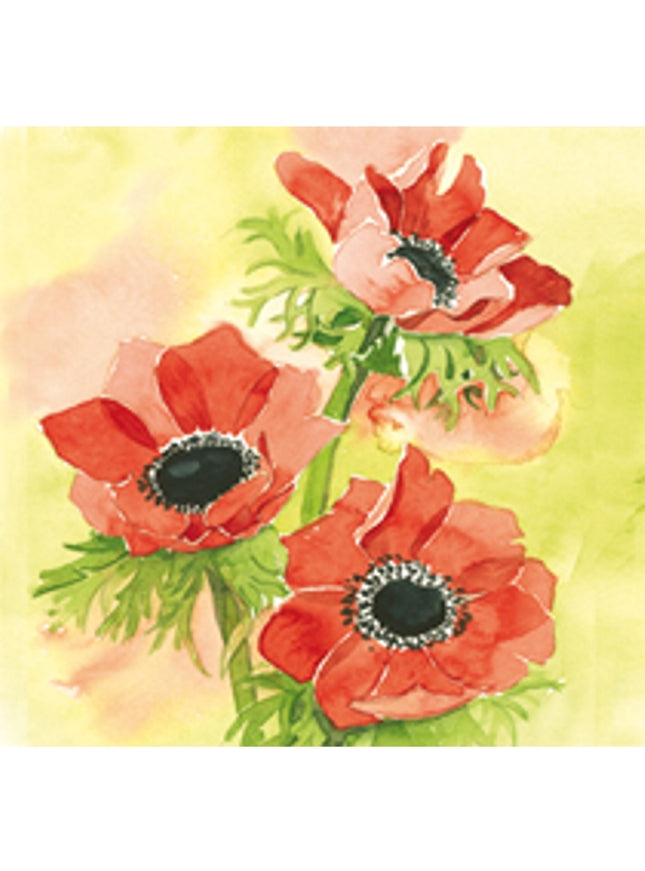 Vierkante wenskaart rode anemonen