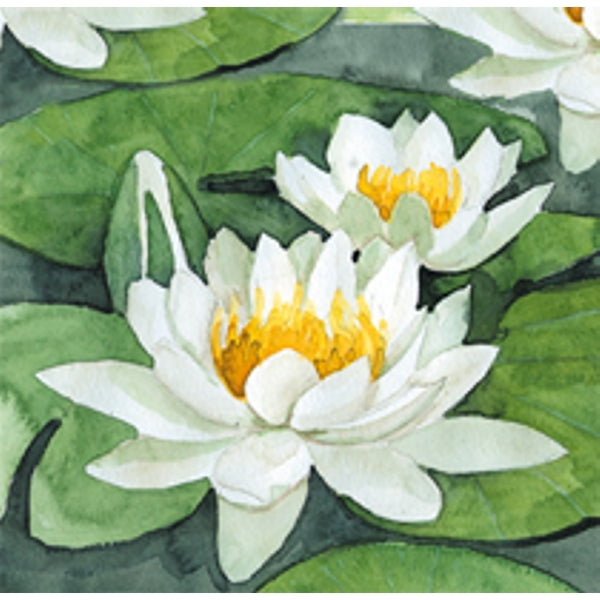 Vierkante wenskaart witte waterlelies