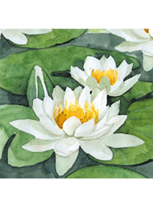 Vierkante wenskaart witte waterlelies