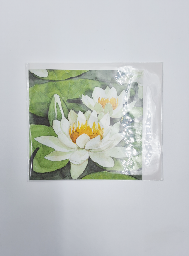 Vierkante wenskaart witte waterlelies