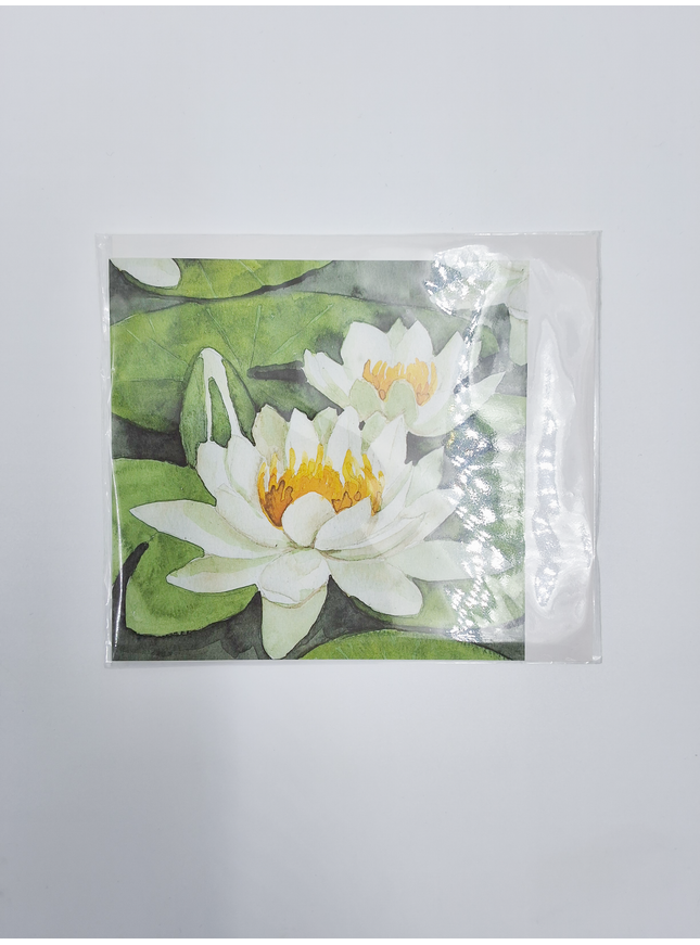 Vierkante wenskaart witte waterlelies