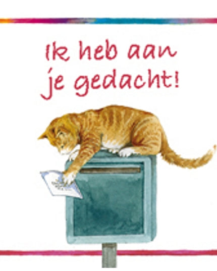 Vierkante wenskaart poes, "Ik heb aan je gedacht"