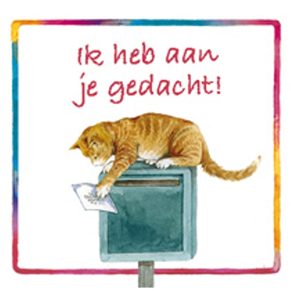 Vierkante wenskaart poes, "Ik heb aan je gedacht"